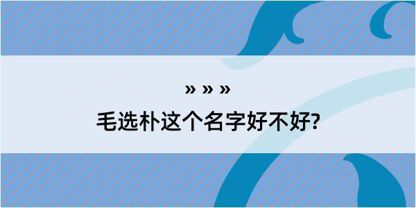 毛选朴这个名字好不好?