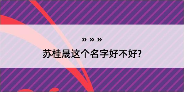 苏桂晟这个名字好不好?