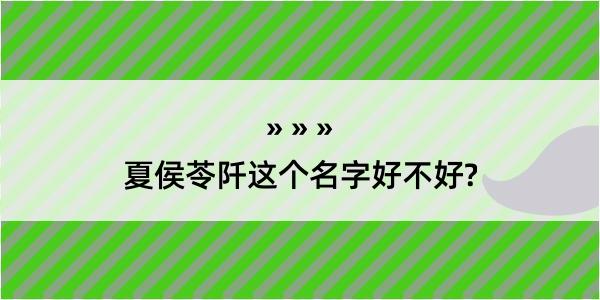 夏侯苓阡这个名字好不好?