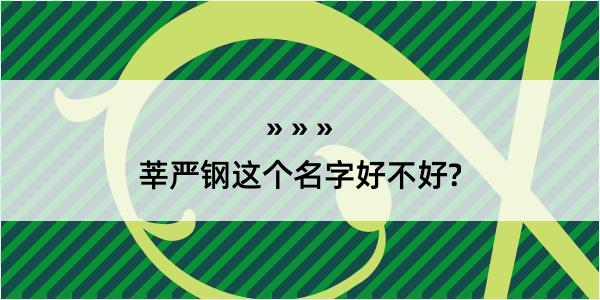 莘严钢这个名字好不好?