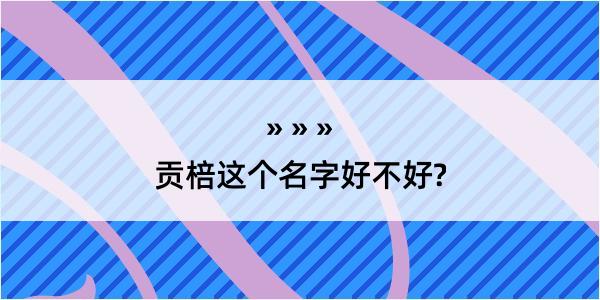 贡棓这个名字好不好?