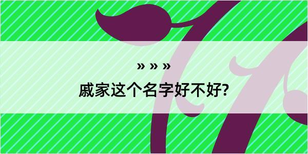 戚家这个名字好不好?