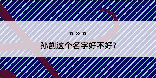 孙剀这个名字好不好?