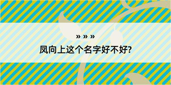 凤向上这个名字好不好?