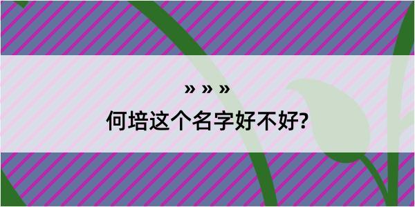 何培这个名字好不好?