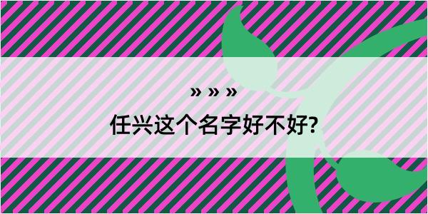 任兴这个名字好不好?