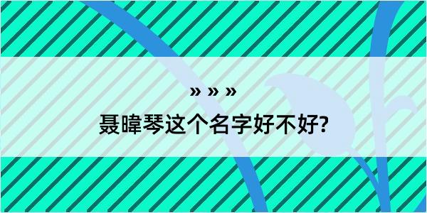 聂暐琴这个名字好不好?