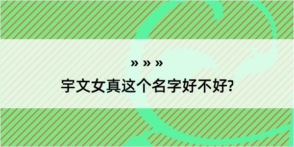 宇文女真这个名字好不好?