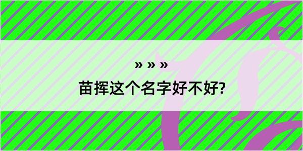 苗挥这个名字好不好?