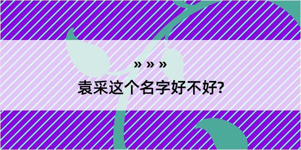 袁采这个名字好不好?