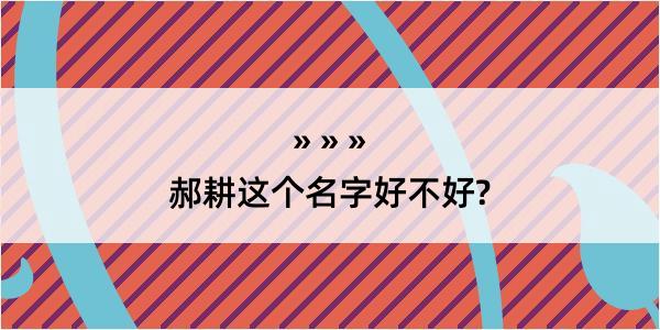 郝耕这个名字好不好?