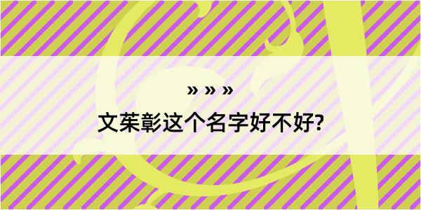 文茱彰这个名字好不好?