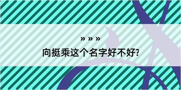 向挺乘这个名字好不好?