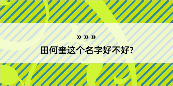 田何奎这个名字好不好?