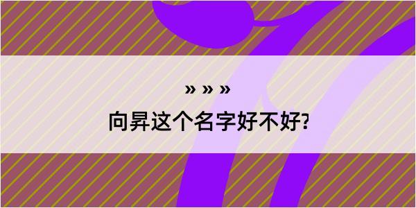 向昇这个名字好不好?