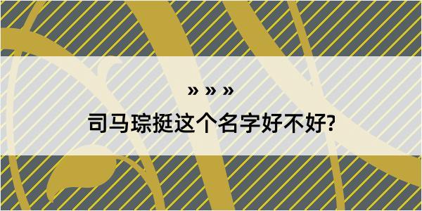 司马琮挺这个名字好不好?