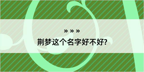 荆梦这个名字好不好?