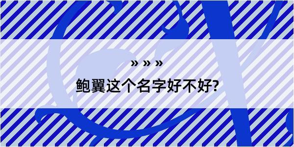 鲍翼这个名字好不好?