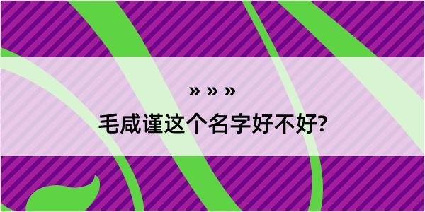 毛咸谨这个名字好不好?