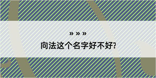 向法这个名字好不好?