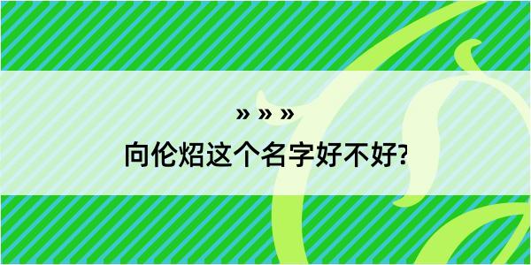 向伦炤这个名字好不好?