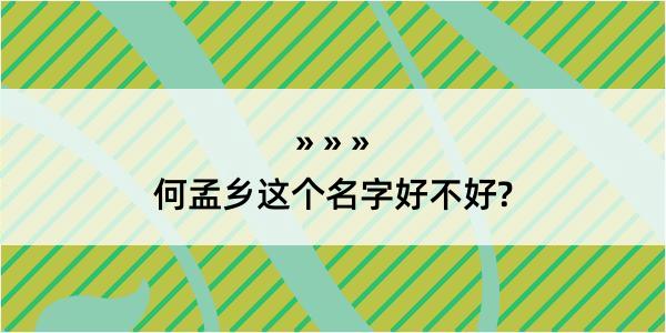 何孟乡这个名字好不好?