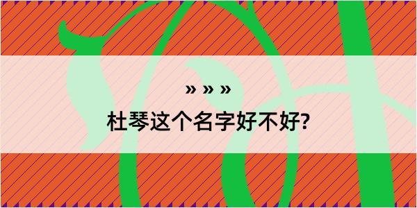 杜琴这个名字好不好?