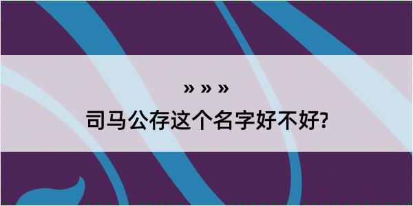 司马公存这个名字好不好?