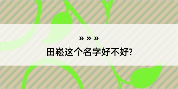 田崧这个名字好不好?