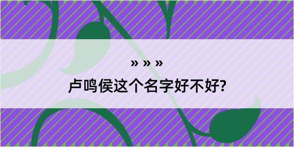 卢鸣侯这个名字好不好?