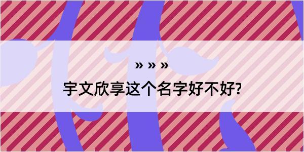 宇文欣享这个名字好不好?