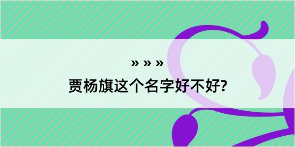 贾杨旗这个名字好不好?