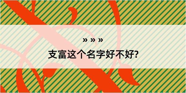 支富这个名字好不好?