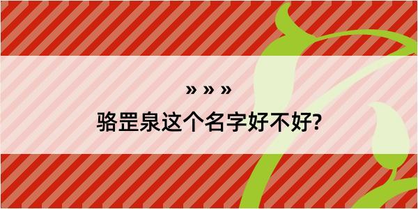 骆罡泉这个名字好不好?