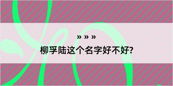 柳孚陆这个名字好不好?