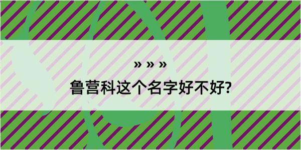 鲁营科这个名字好不好?