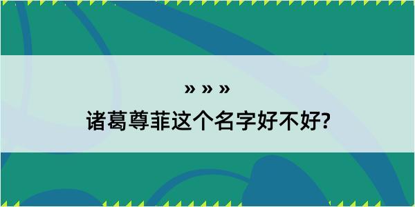 诸葛尊菲这个名字好不好?