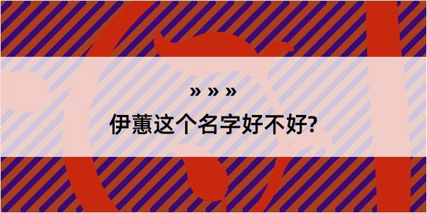 伊蕙这个名字好不好?