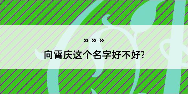 向霄庆这个名字好不好?