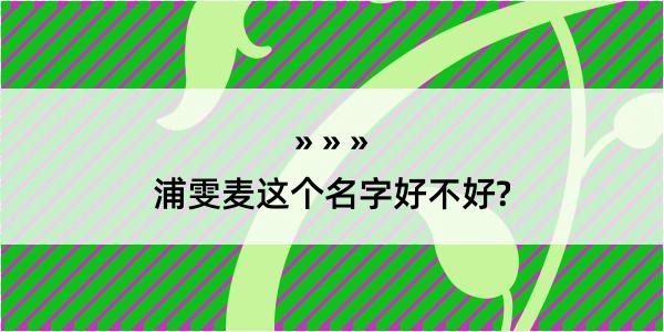 浦雯麦这个名字好不好?