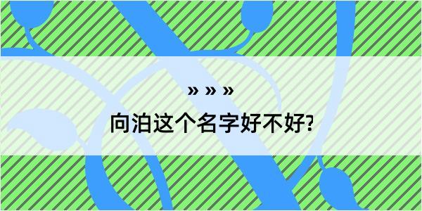 向泊这个名字好不好?