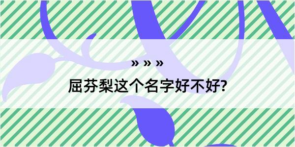 屈芬梨这个名字好不好?