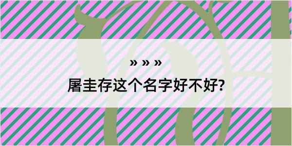 屠圭存这个名字好不好?