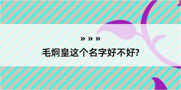 毛炯皇这个名字好不好?