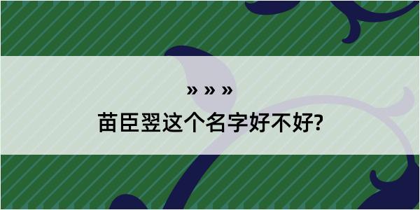 苗臣翌这个名字好不好?