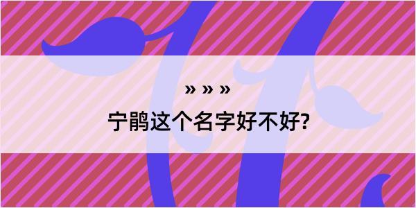 宁鹃这个名字好不好?