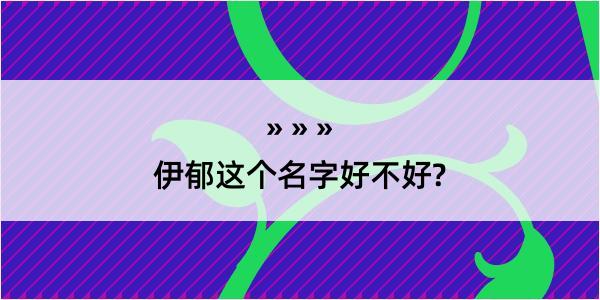 伊郁这个名字好不好?