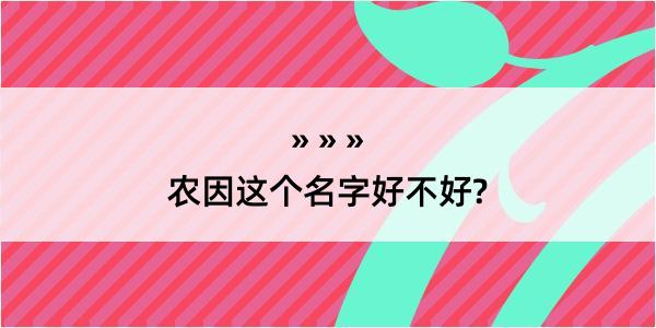 农因这个名字好不好?