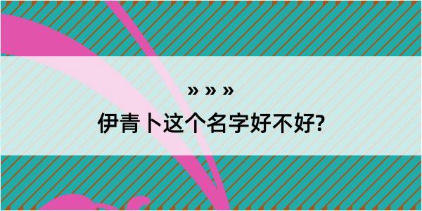 伊青卜这个名字好不好?