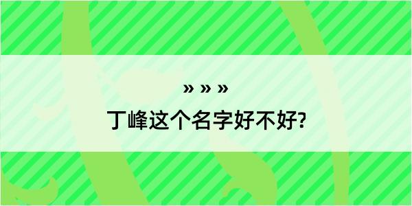 丁峰这个名字好不好?